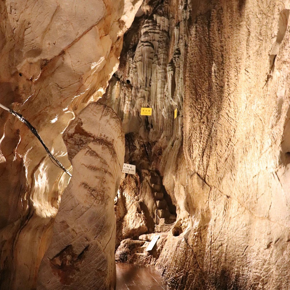 🏞️ 흰 구름 동굴(하쿠운도) 이미지 30